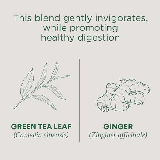 TRADITIONAL MEDICINALS , Green Tea Ginger
