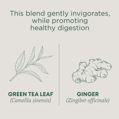 TRADITIONAL MEDICINALS , Green Tea Ginger