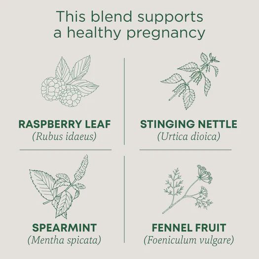 TRADITIONAL MEDICINALS , Pregnancy Tea