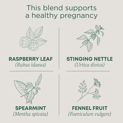 TRADITIONAL MEDICINALS , Pregnancy Tea