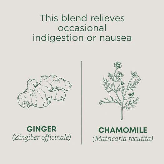 TRADITIONAL MEDICINALS , Ginger & Chamomile Tea