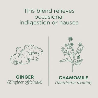 TRADITIONAL MEDICINALS , Ginger & Chamomile Tea
