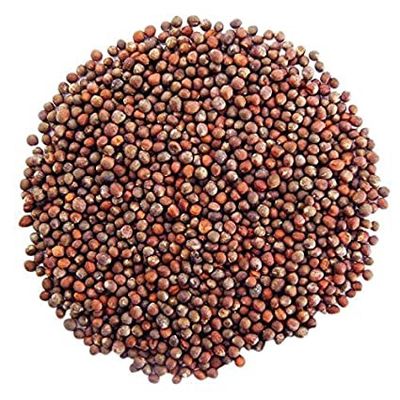 Broccoli Seeds (Sold In Bulk)