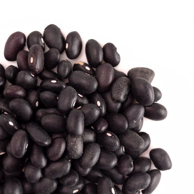 Black Turtle Beans Organic (Sold In Bulk)