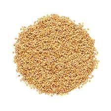 Clover Seeds (Sold In Bulk)