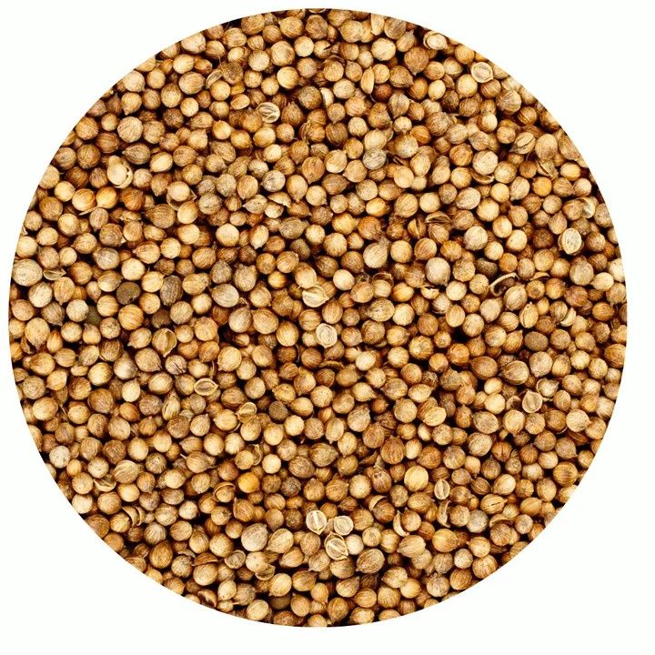 Coriander Seed, Whole Organic (Sold In Bulk)