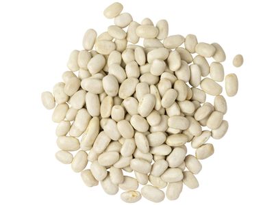 Cannellini Beans Organic (Sold In Bulk)