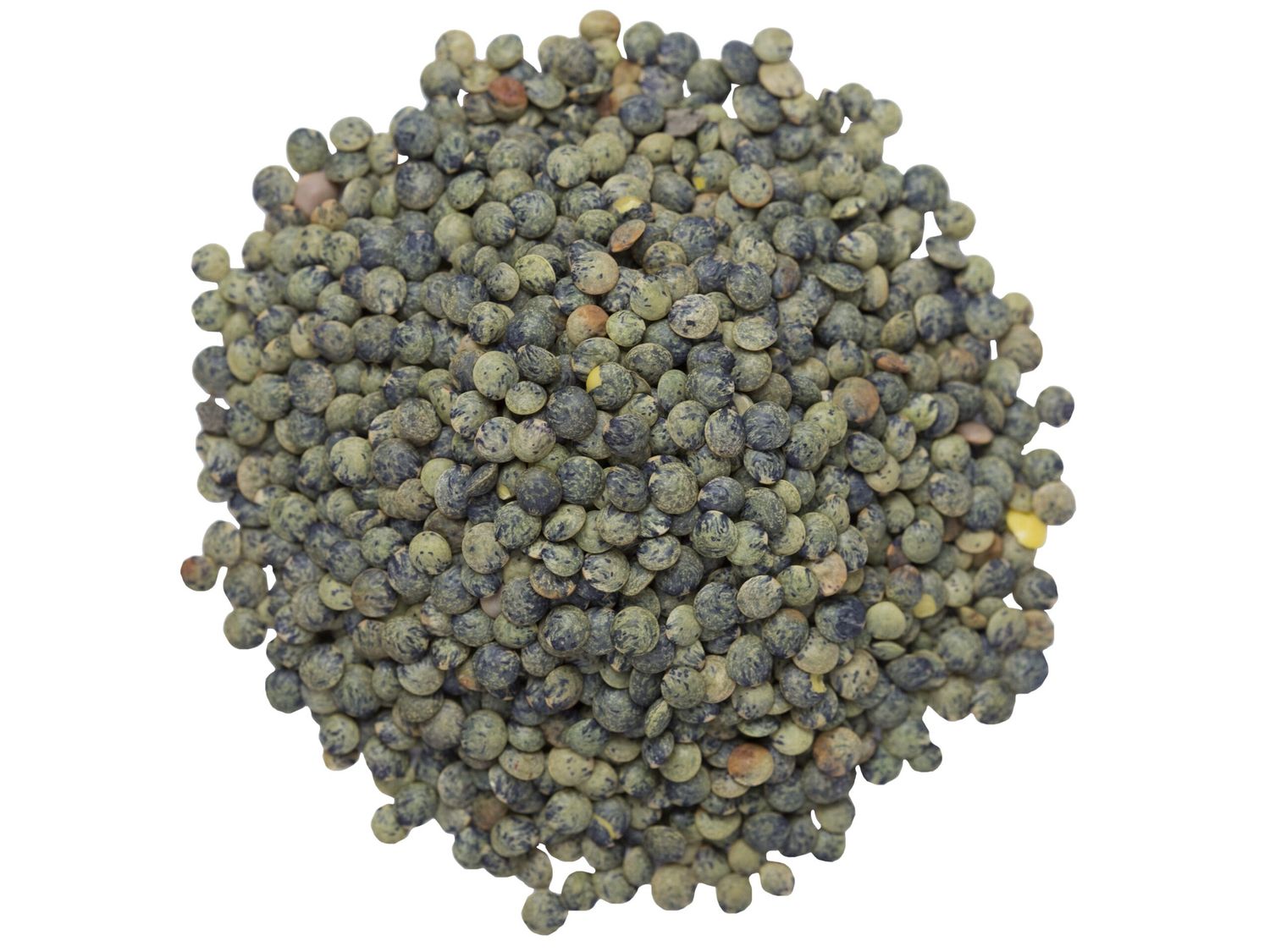 French Lentils Organic (Sold In Bulk)