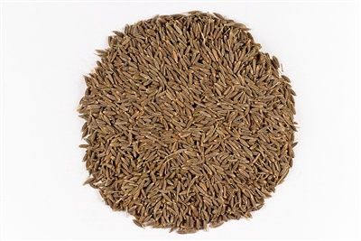 Cumin Seed, Whole Organic (Sold In Bulk)