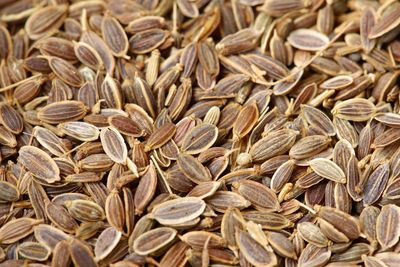 Dill Seeds (Sold In Bulk)