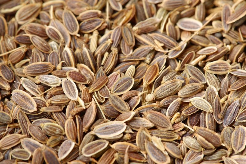 Dill Seeds (Sold In Bulk)