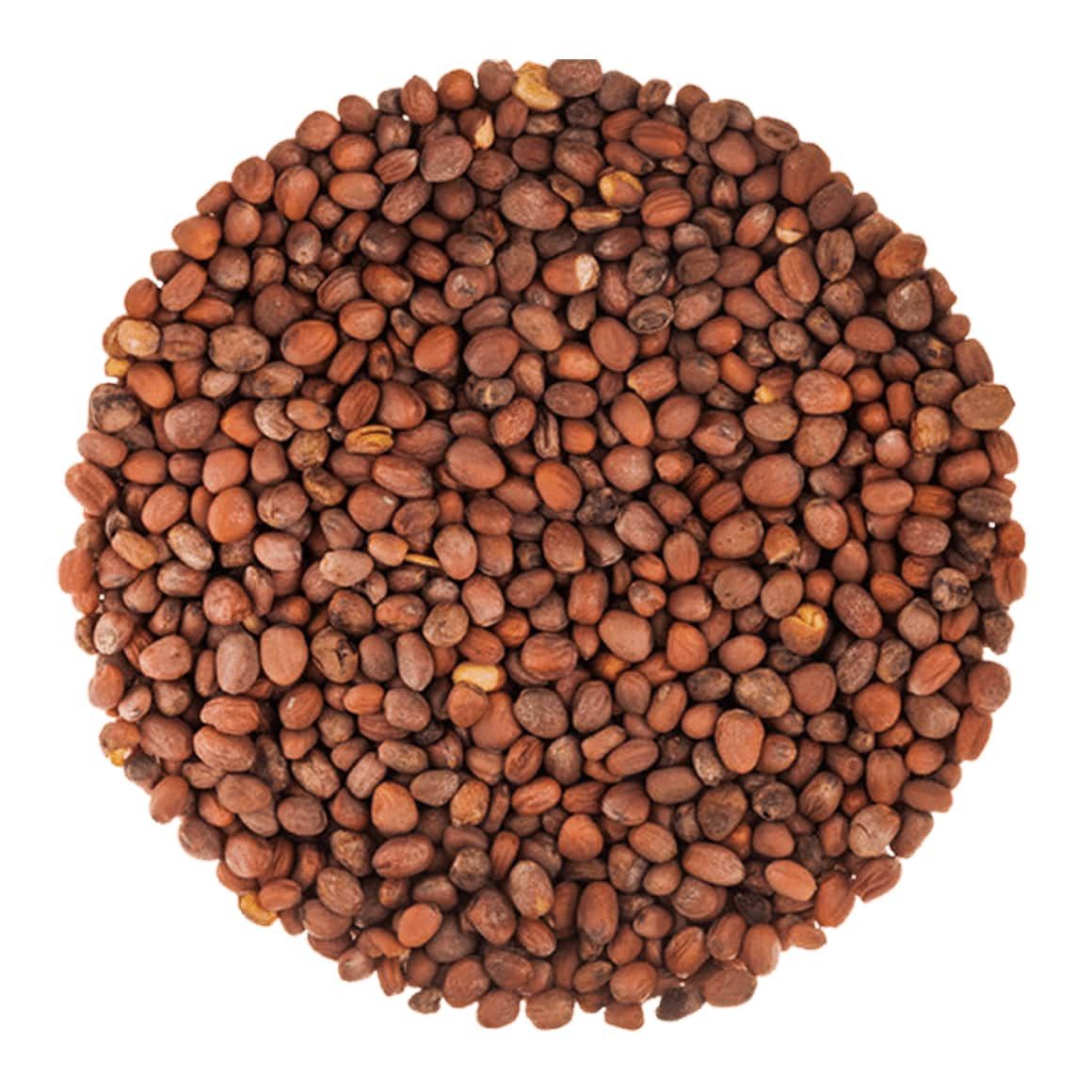 Radish Seeds (Sold In Bulk)