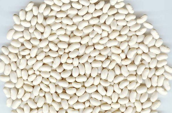 White Beans Navy Organic (Sold In Bulk)