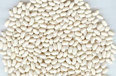 White Beans Navy Organic (Sold In Bulk)