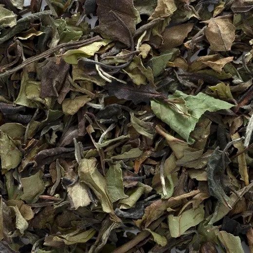 White Peony Tea (Bai Mu Da) Organic (Sold In Bulk)