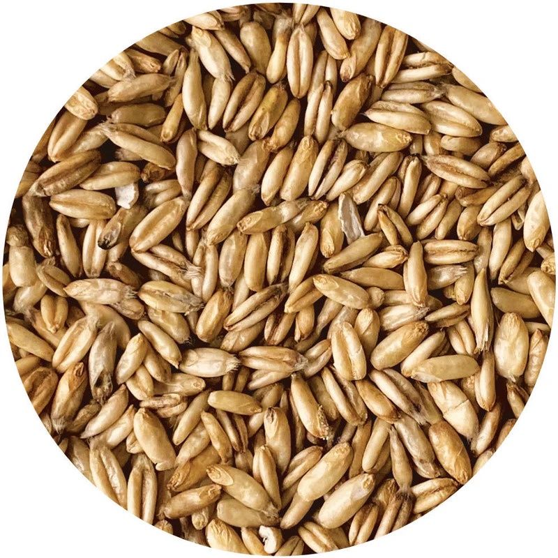 Whole Oats (Sold In Bulk)