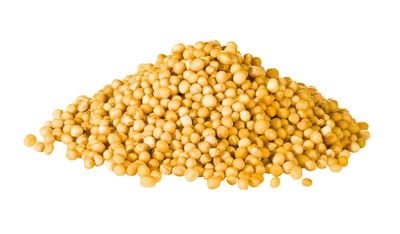 Yellow Mustard Seeds (Sold In Bulk)