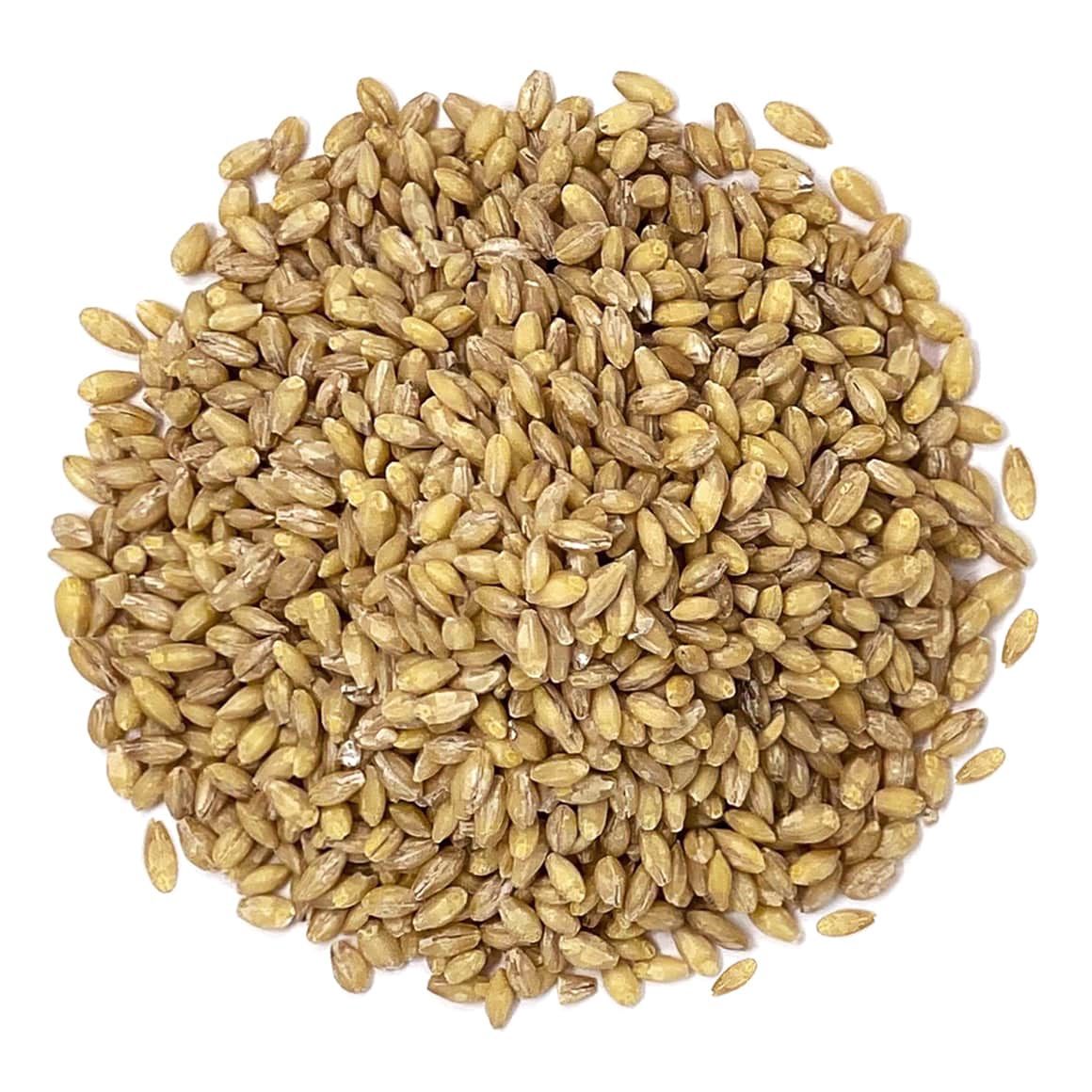 Whole Barley Organic (Sold In Bulk)