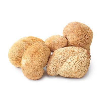Lions Mane Mushroom Organic (Sold In Bulk)