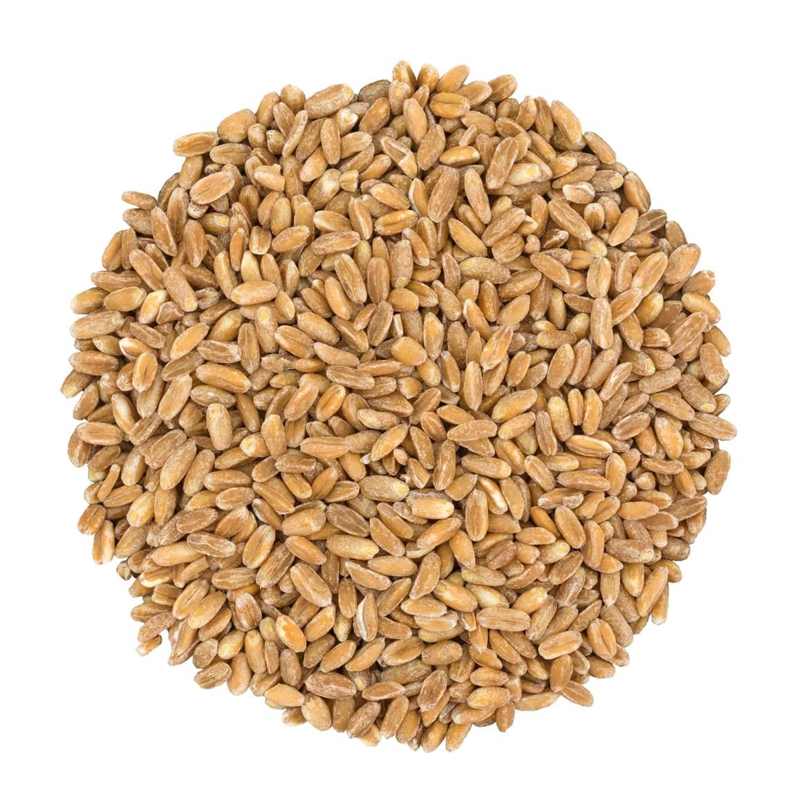 Italian Pearled Farro Organic (Sold In Bulk)