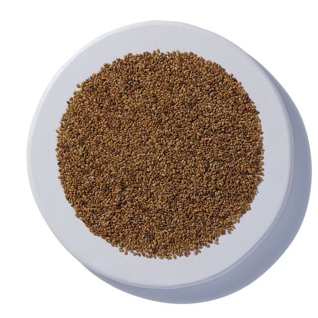 Alfalfa Seeds Organic (Sold In Bulk)