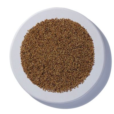 Alfalfa Seeds Organic (Sold In Bulk)