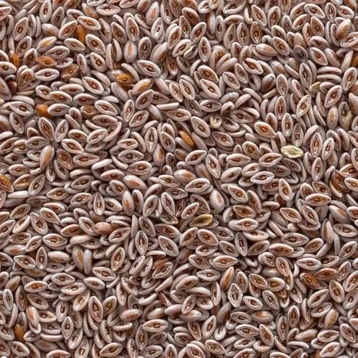 Psyllium Seed Whole Organic (Sold In Bulk)