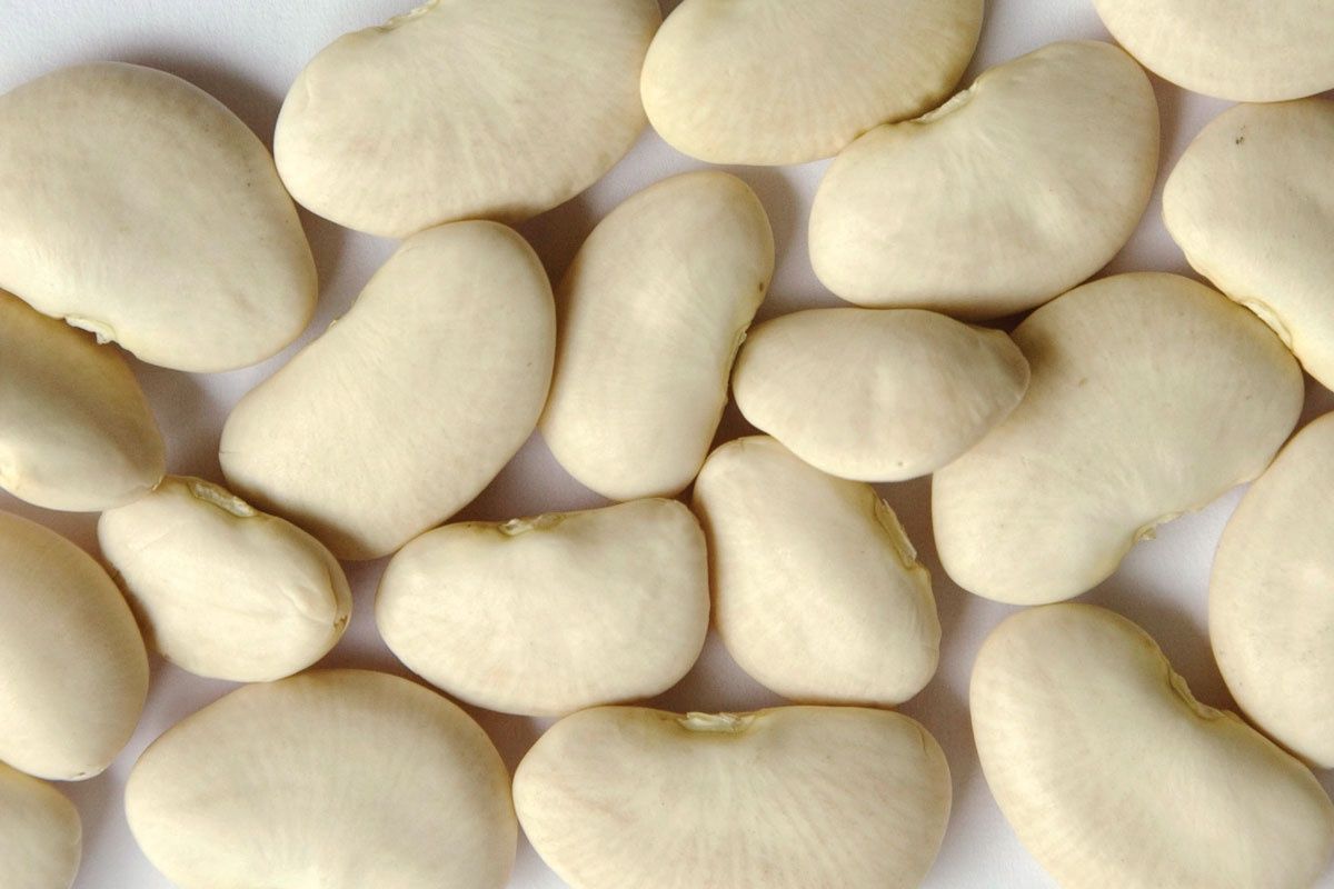 Lima Beans Large Organic (Sold In Bulk)