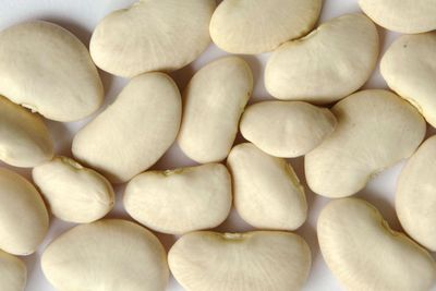 Lima Beans Large Organic (Sold In Bulk)