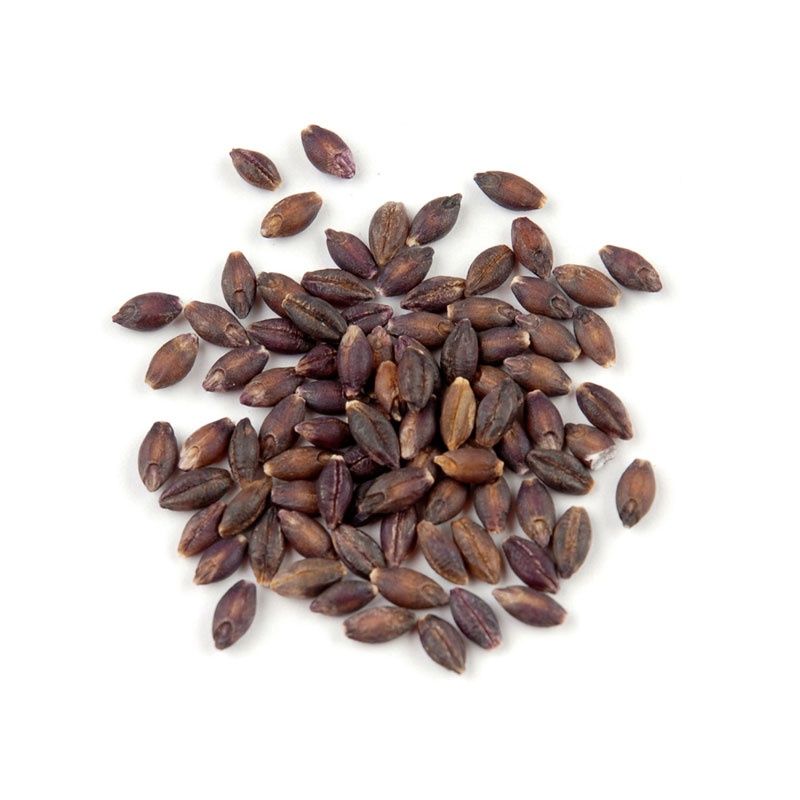 Black Barley Organic (Sold In Bulk)