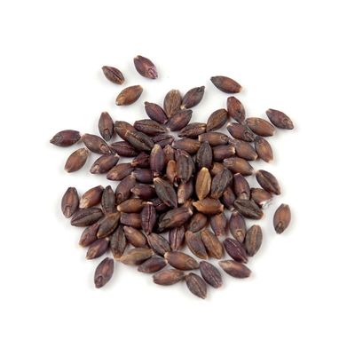 Black Barley Organic (Sold In Bulk) Black Barley Organic (Sold In Bulk)