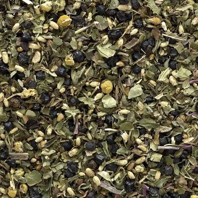 Elderberry Echinacea Wellness Tea Blend Organic (Sold in Bulk)