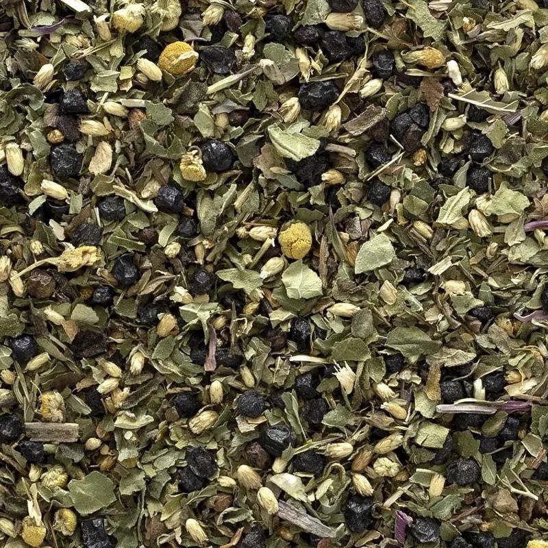 Elderberry Echinacea Wellness Tea Blend Organic (Sold in Bulk)