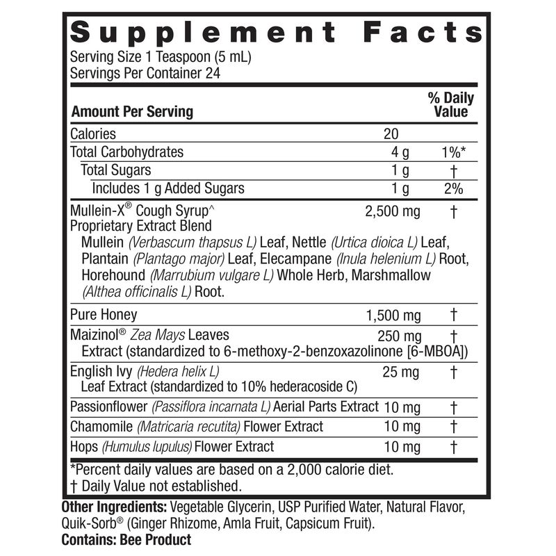Nature's Answer, Mullein-X Cough Syrup PM 4 oz