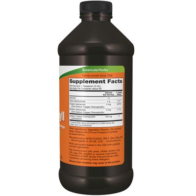 Now, Liq Chlorophyll & Mint 16 Oz