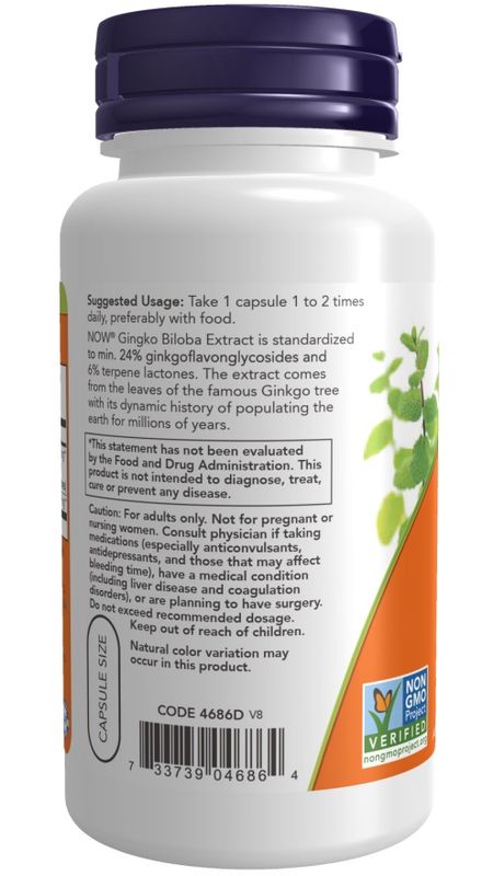 Now, Ginkgo Biloba 60mg