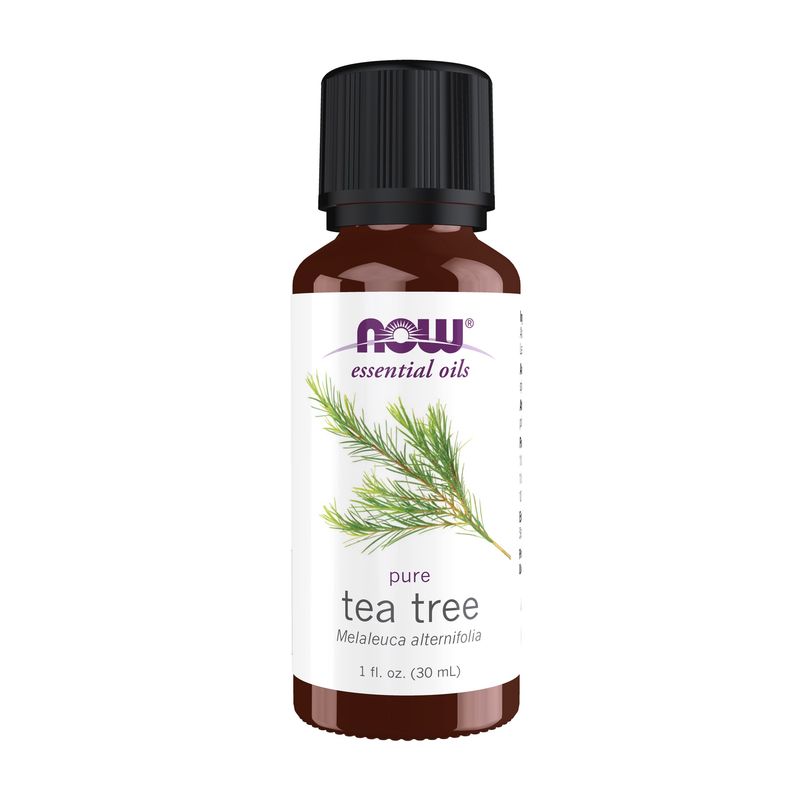 Now Essential Oils , Tea Tree Oil Now Essential Oils , Tea Tree Oil
