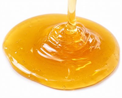 The Food Mill, Clover Honey 1 lb.