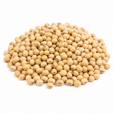 Soybeans Organic (Sold In Bulk)