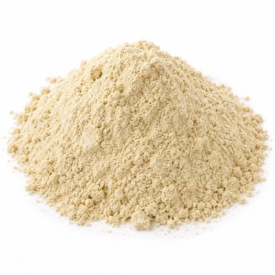 Vital Wheat Gluten Flour (Sold In Bulk)