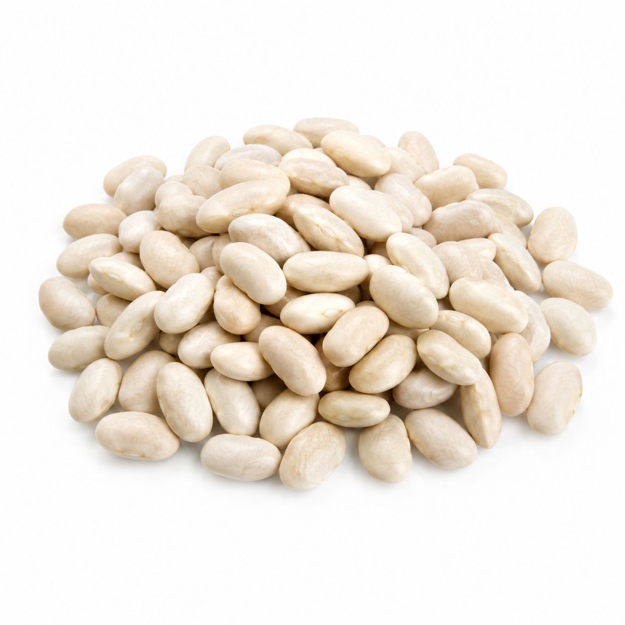 Great Northern Beans (Sold In Bulk) Great Northern Beans (Sold In Bulk)