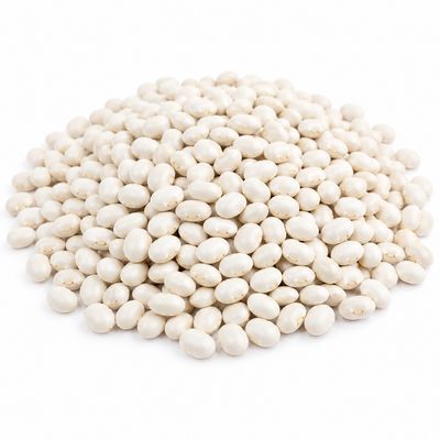 White Beans Navy Organic (Sold In Bulk) White Beans Navy Organic (Sold In Bulk)