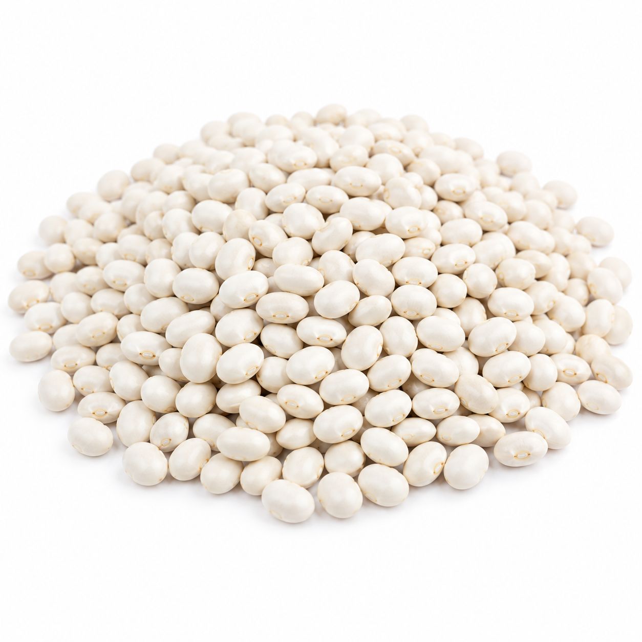 White Beans Navy Organic (Sold In Bulk) White Beans Navy Organic (Sold In Bulk)