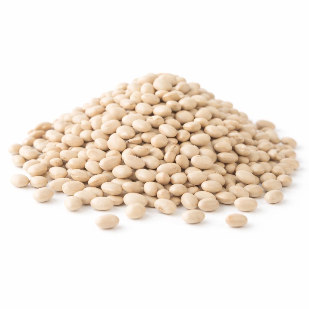 Small White Beans Navy (Sold In Bulk)
