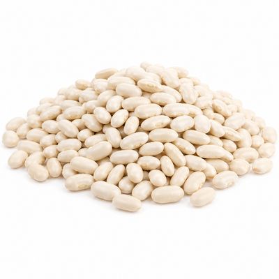 Great Northern Beans Organic (Sold In Bulk) Great Northern Beans Organic (Sold In Bulk)