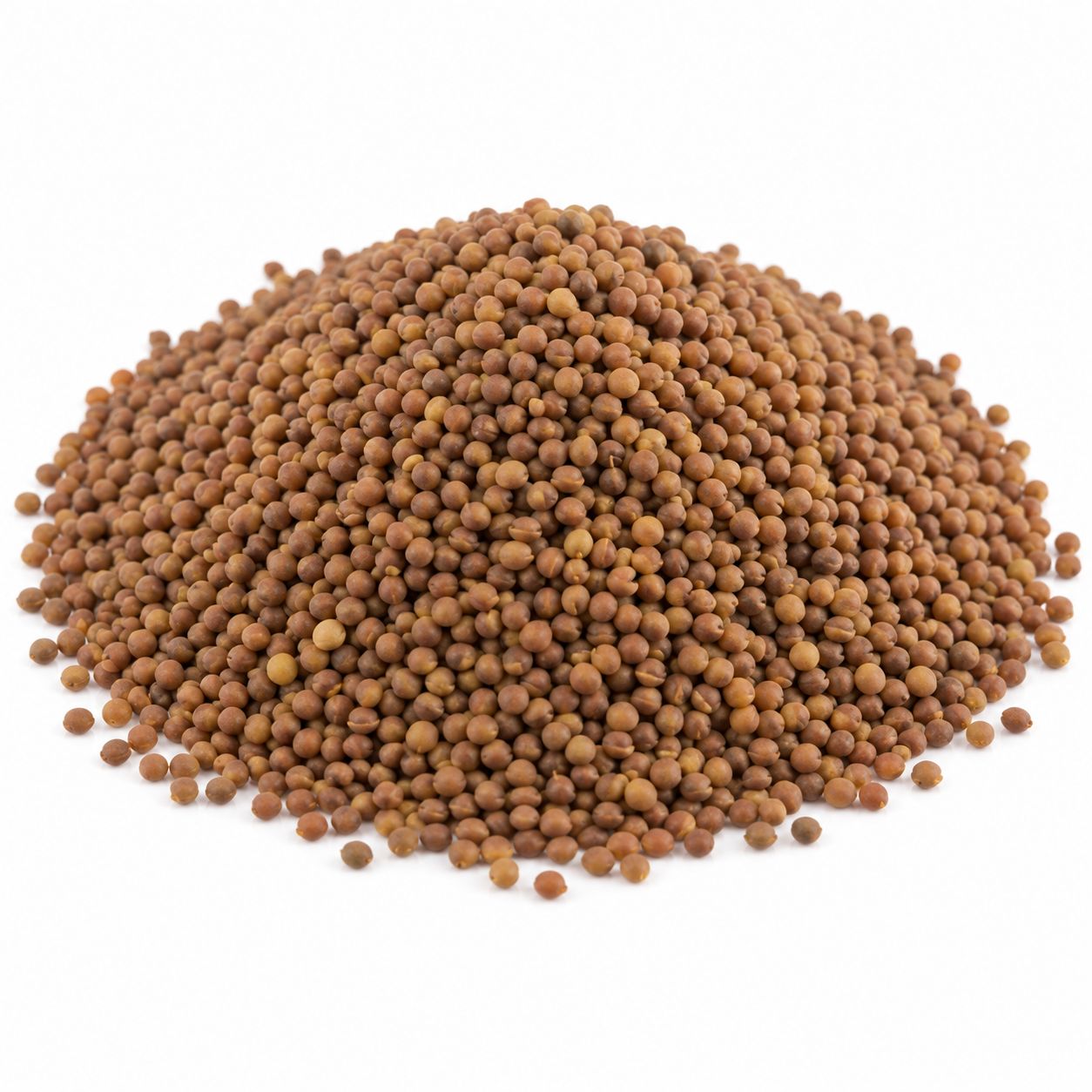 Organic Red Clover Seeds (Sold In Bulk)