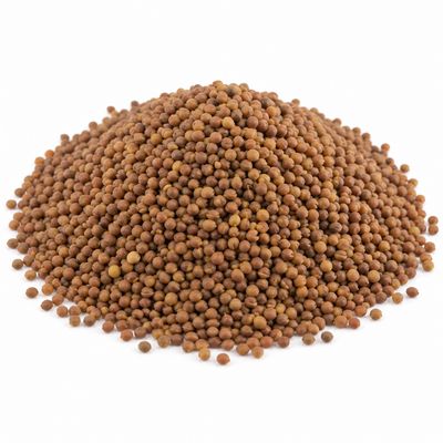 Organic Red Clover Seeds (Sold In Bulk)