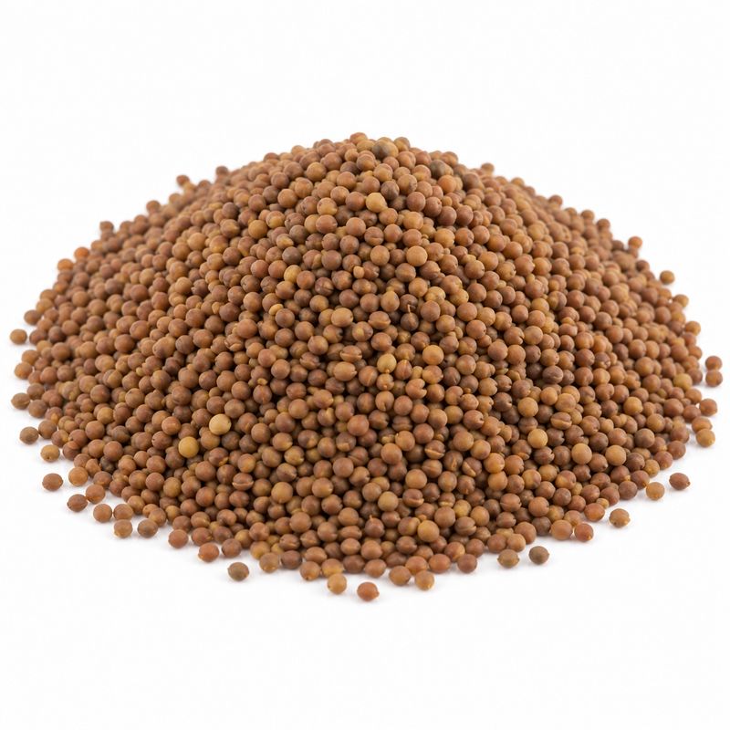 Organic Red Clover Seeds (Sold In Bulk)