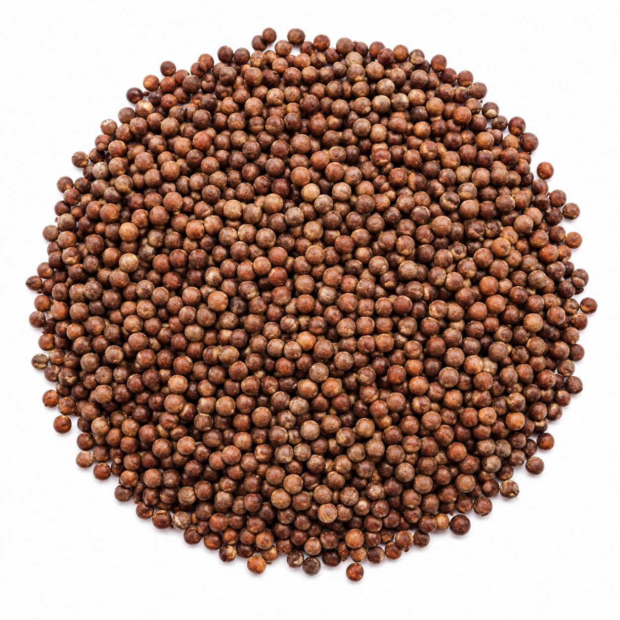 Broccoli Seeds Organic (Sold In Bulk)