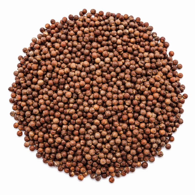 Broccoli Seeds Organic (Sold In Bulk)
